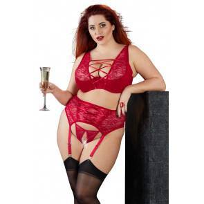 Cotelli Collection Plus Комплект белья с доступом (бюст+трусы+пояс) BH Strapsset 95F/2XL