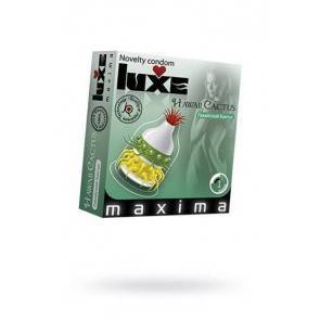 Презервативы Luxe Maxima Гавайский Кактус №1, 24 шт