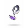 Красивая анальная пробка, большая, серебристая с фиолетовым кристаллом Серебристый Пикантные штучки