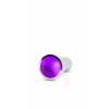 Анальная пробка со стразом 4.9" R10 RICH Silver/Purple Sapphire SH-RIC010SIL Серебристый Shotsmedia
