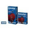 Презервативы Masculan Classic 2, 10 шт. С пупырышками (Dotty) ШТ Розовый Masculan
