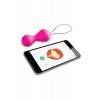 Персональный тренер Fun Toys Gballs2 App Розовый Розовый Fun Toys