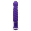 Вибратор ECSTASY Charismatic Vibe purple 173803purHW Фиолетовый Howells