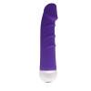 Вибратор FASHION SUCCUBI -VIBRATING DONG Purple 91012purHW Фиолетовый Aphrodisia
