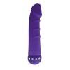 Вибратор SPARKLE SUCCUBI - VIBRATING DONG Purple 91017PurHW Howells