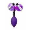Виброприсоски с грушей для сосков Фиолетовый Dream Toys