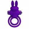 Эрекционное кольцо с вибростимуляцией клитора Baile Pretty Love BI-210206-1 Фиолетовый Baile