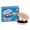 Вагинальные шарики Dream Toys, ABS пластик, Белый, Ø 2,1см Белый Dream Toys