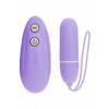 Виброяйцо VIBE THERAPY INCESSANCY LAVENDER Violet RW03U007B4B4 Vibe Therapy