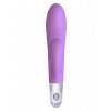 Вибратор LOVELY VIBES G-SPOT TWIN PURPLE 10624LV Mae B