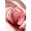 Мастурбатор реалистичный рот, Sugofella, ENJOY TOYS, TPE, телесный, 19 см Телесный ENJOY TOYS