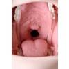 Мастурбатор реалистичный рот, Sugofella, ENJOY TOYS, TPE, телесный, 19 см Телесный ENJOY TOYS