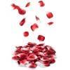 Bijoux Indiscrets Лепестки роз с запахом Красный